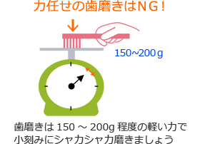 力任せの歯磨きはＮＧ！歯磨きは150～200g程度の軽い力で小刻みにシャカシャカ磨きましょう